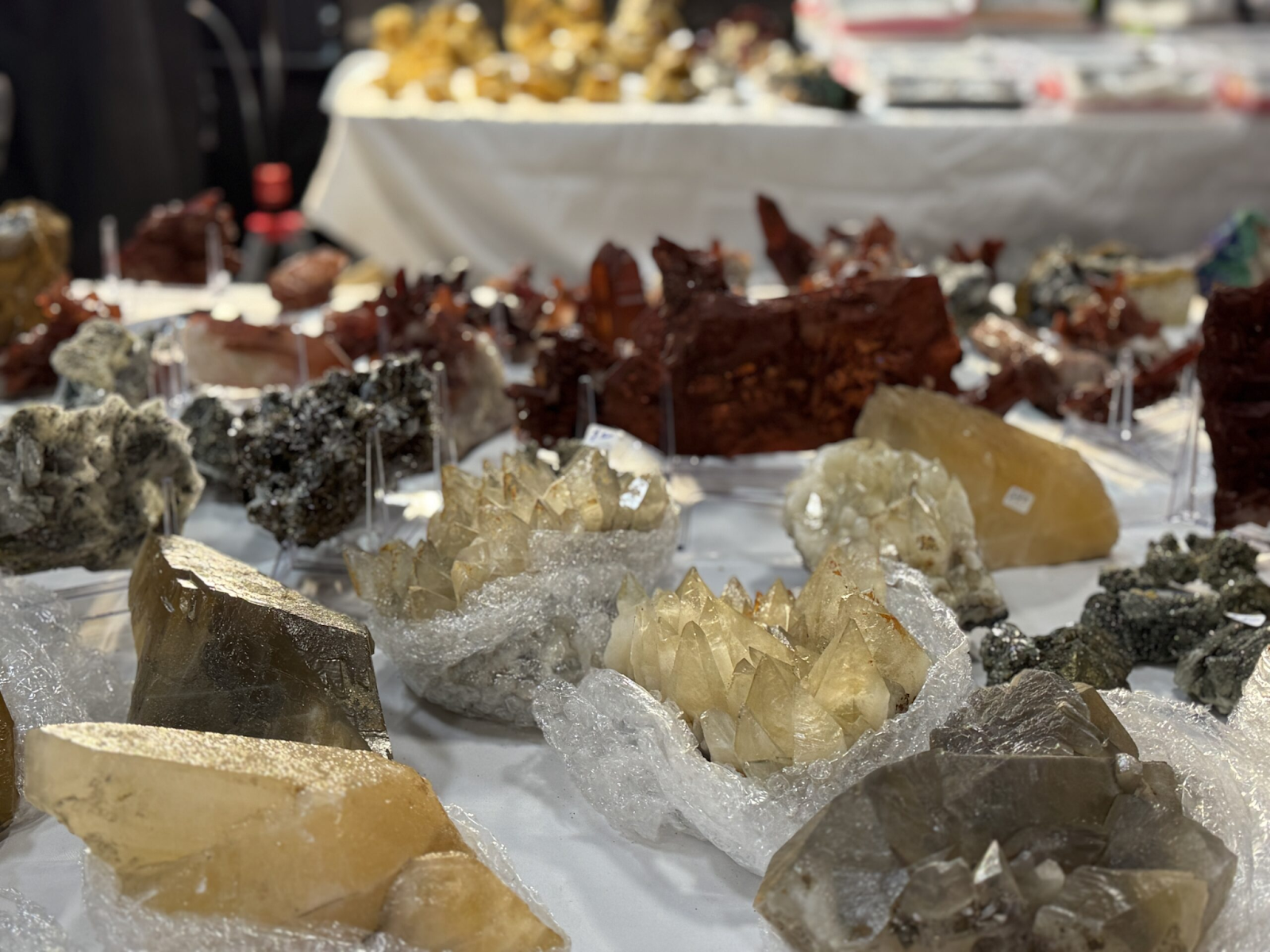 💎 Unearth the Perfect Getaway: Denver Mineral, Fossil, Gem & Jewelry Show + Where to Stay