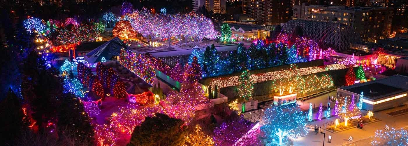 🎄 Blossoms of Light 2025: Denver’s Dazzling December Tradition