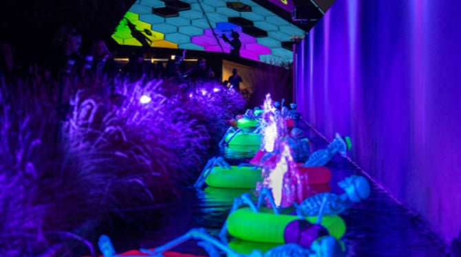 Exploring Beyond the Gardens: Denver Holiday Lights