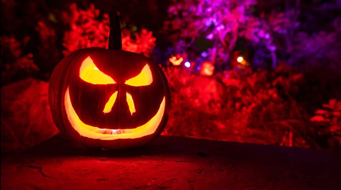 Glow at the Gardens Dates and Planning Tips for 2026